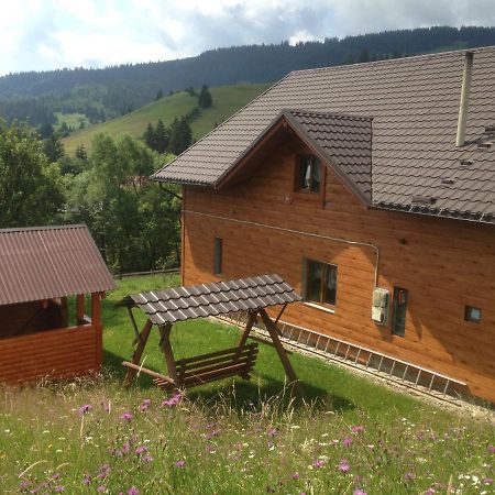 Appartamento Карпатська Перлина Iltsi Esterno foto