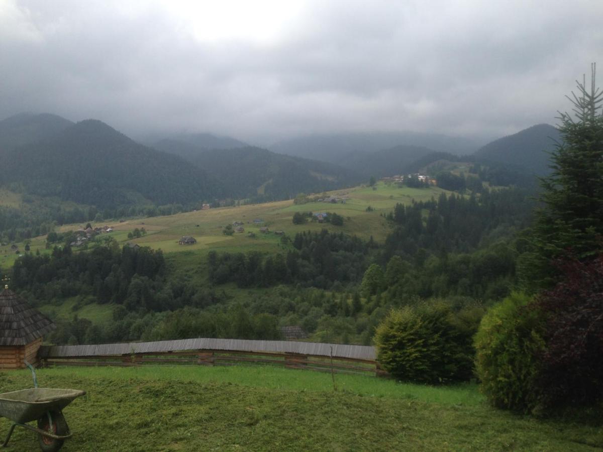 Appartamento Карпатська Перлина Iltsi Esterno foto